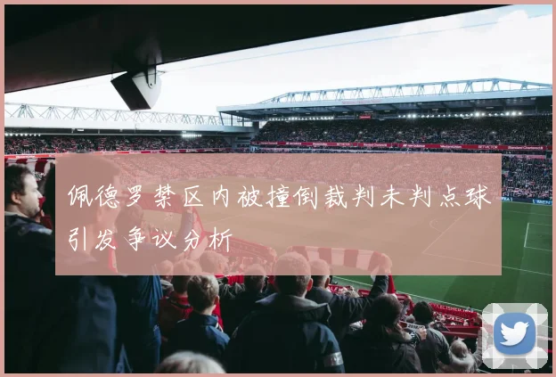 佩德罗禁区内被撞倒裁判未判点球引发争议分析